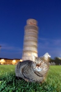 Italian-cat-names_cat-names-city_leaning-tower-of-_69d25f79aca049206c4bd19c7151a5f0